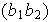 $(b_{1}b_{2})$